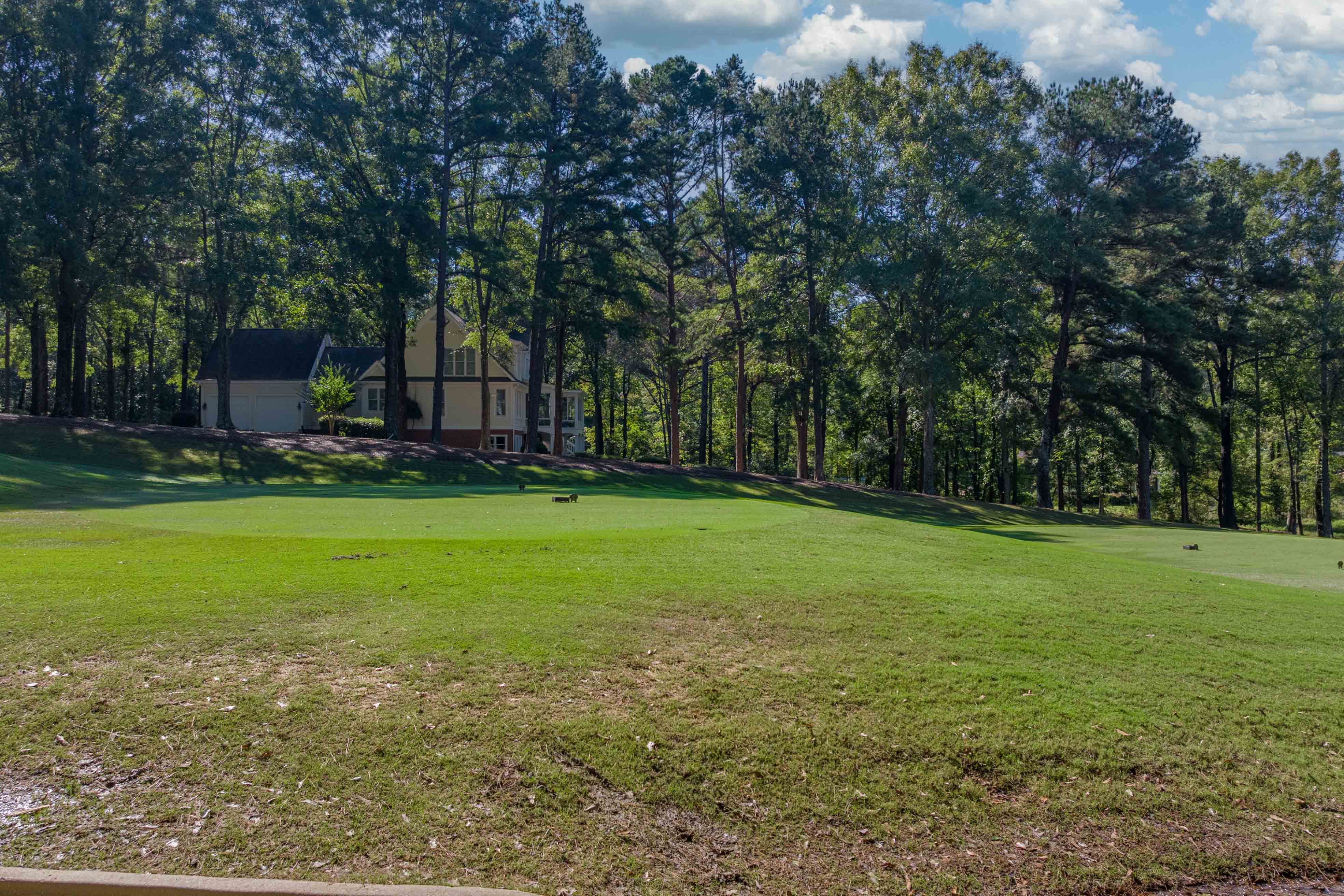 236 Broadlands Drive image 12